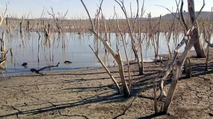 Analizan declaratoria emergente en Sequía por Tamaulipas