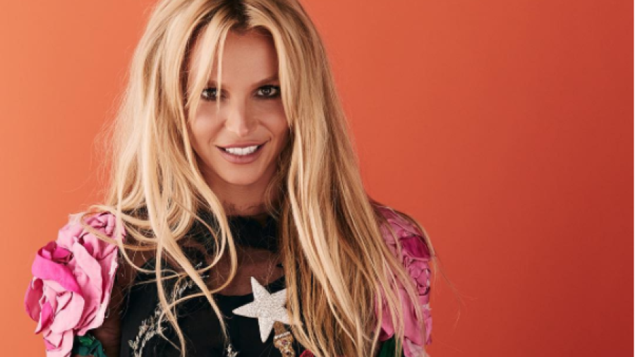 Britney Spears sorprende con impresionante bikini