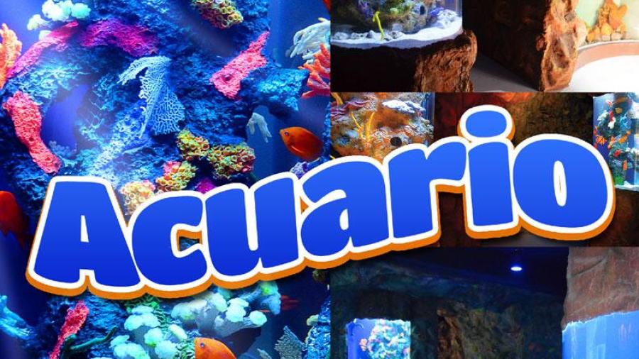 Tendrá Acuario entrada gratis sábado y domingo 