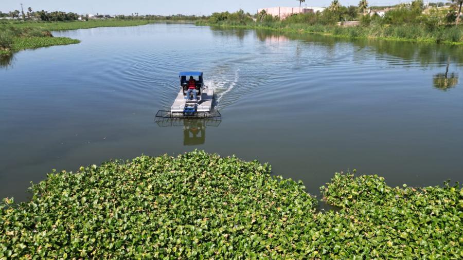 Limpian del lirio acuático el Laguito en Nuevo Laredo