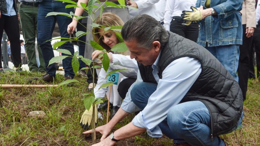Inicia Chucho Nader Campaña de Reforestación en Tampico