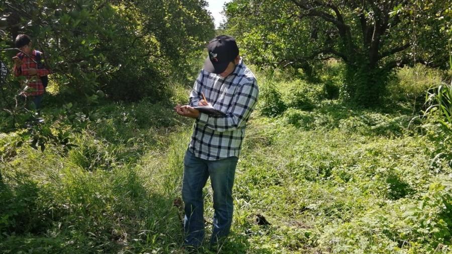 Desarrolla UAT proyecto para evaluar residuos contaminantes de agroquímicos en el suelo