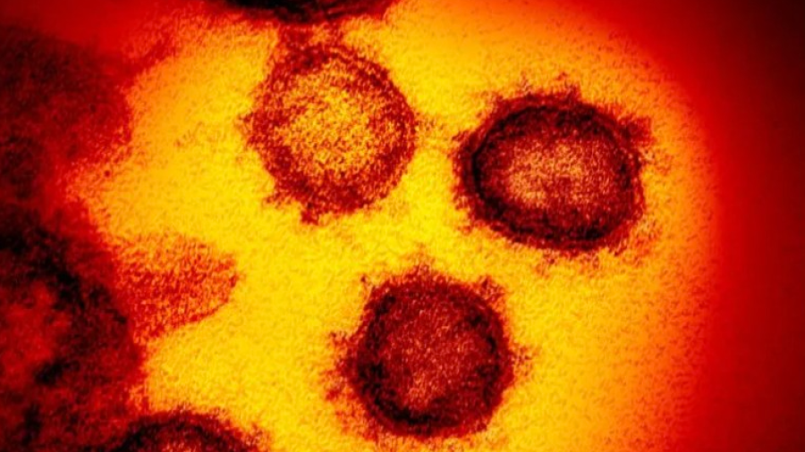 OMS denomina “Omicron” a la nueva variante del coronavirus; genera preocupación por sus mutaciones