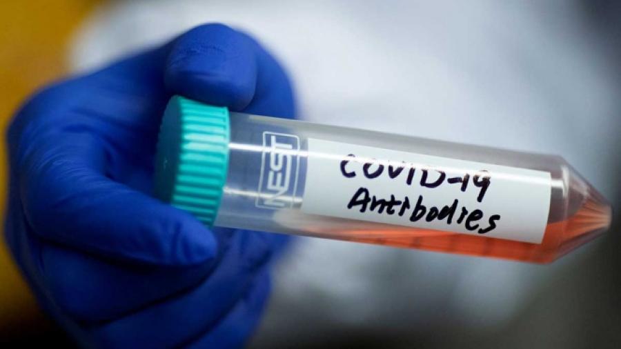 Científicos aumentan trabajo para encontrar vacuna para el COVID-19