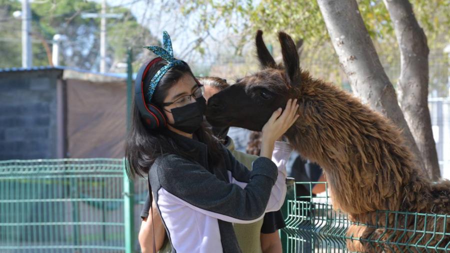 Zool&oacute;gico y Acuario de Nuevo Laredo tienen horario especial durante invierno 