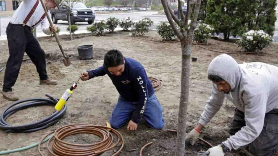 Otorgarán 30.000 visas a trabajadores temporales
