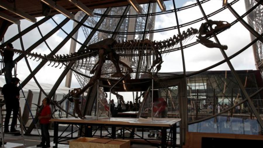 Subastan en la torre Eiffel esqueleto de desconocido dinosaurio