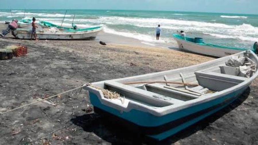 Inicia veda de tiburón y cazón en el Golfo de México