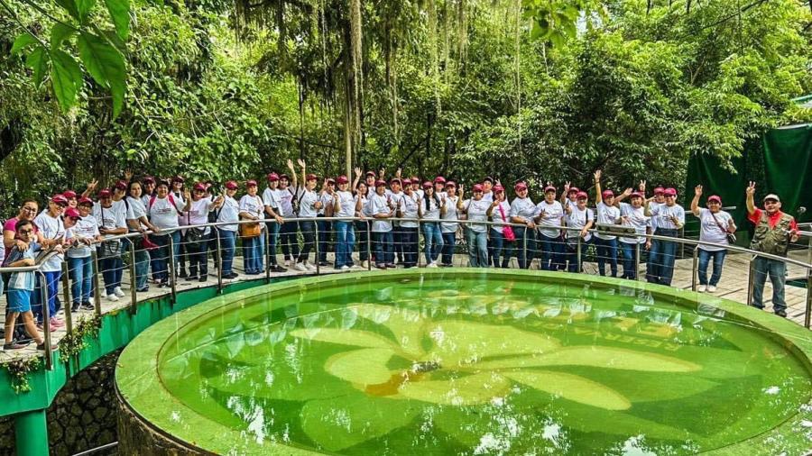 Disfrutan más de 800 personas turismo social de Sectur y DIF Tamaulipas