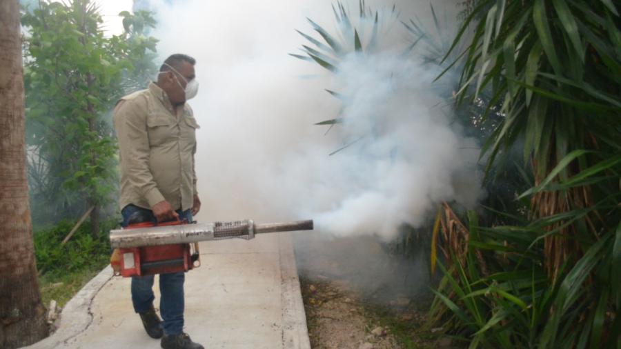 Inicia Gobierno de Tamaulipas plan intensivo de combate al dengue