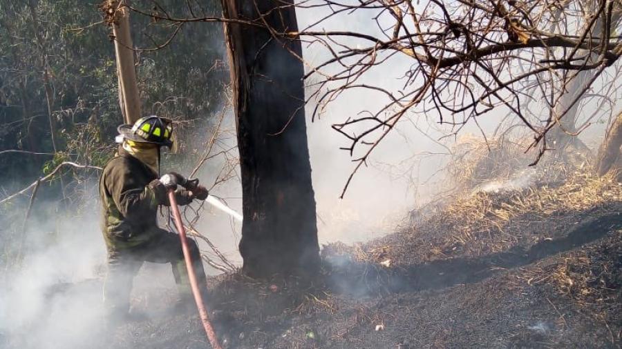 Registra Bosque de Chapultepec incendio forestal en su interior