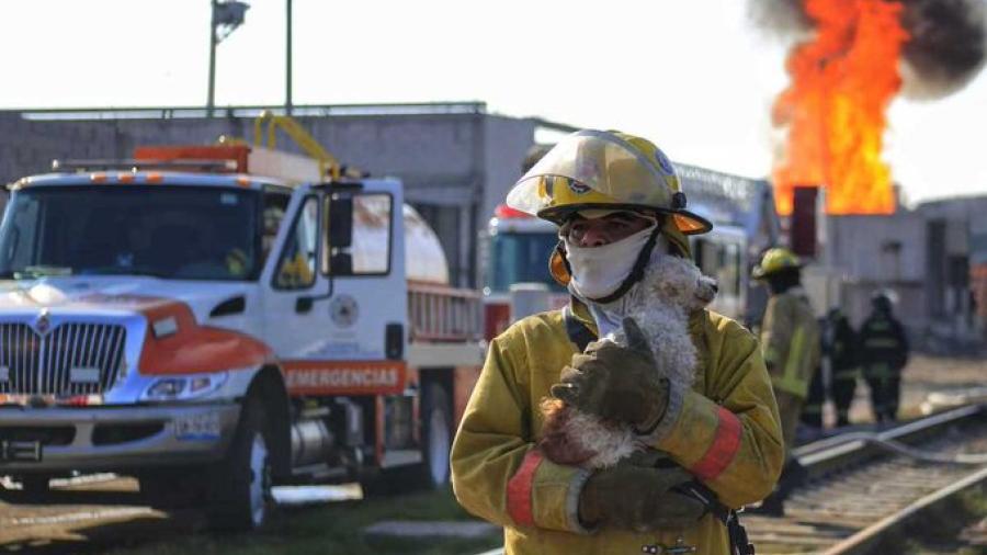 Toma clandestina provoca fuertes explosiones en San Pablo Xochimehuacán, Puebla