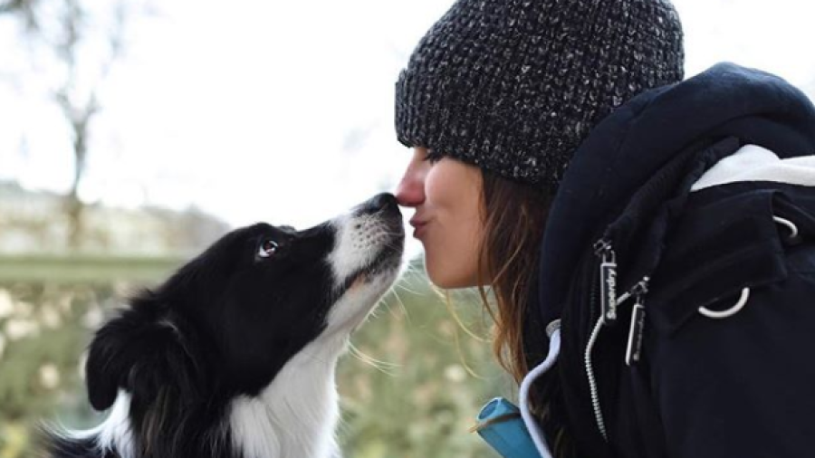 Estudio revela que besar a tu mascota podría darte cáncer