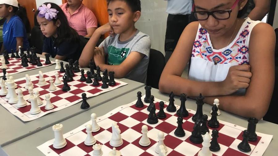 Ofrece Sebien clases de ajedrez completamente gratuitas