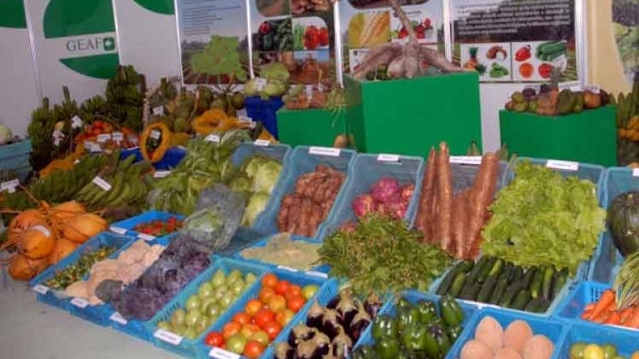 Todo listo para primera Edici&oacute;n de la Feria Agroalimentaria 2017