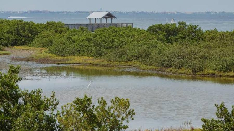 En marcha proyectos para restaurar Laguna en Condado Cameron
