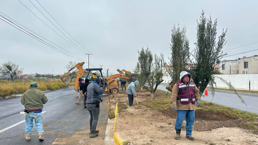 Planta Gobierno de Carlos Peña Ortiz olivos en avenidas de Reynosa