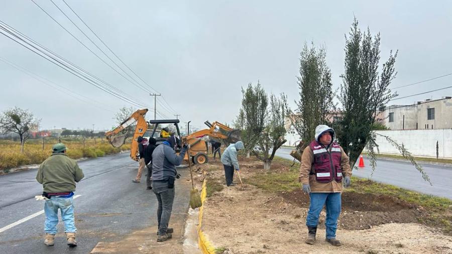 Planta Gobierno de Carlos Peña Ortiz olivos en avenidas de Reynosa