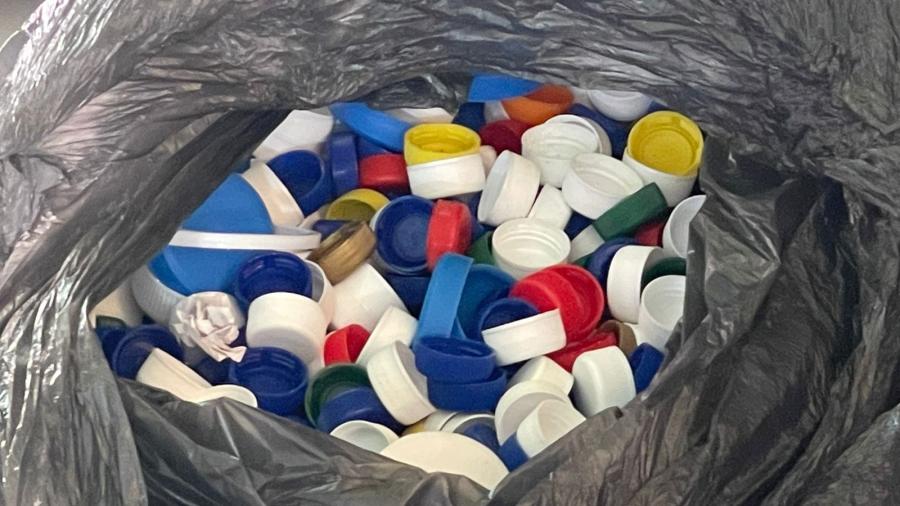 Invitan a donar tapas para apoyar a gatos y perros rescatados