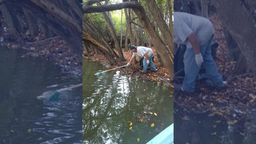 Ayuntamiento de Tampico intensifica limpieza y desazolve de canales pluviales