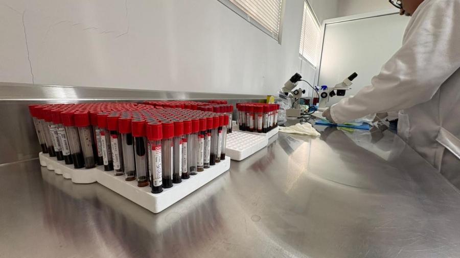 Procesan más de 100 muestras diarias contra brucelosis