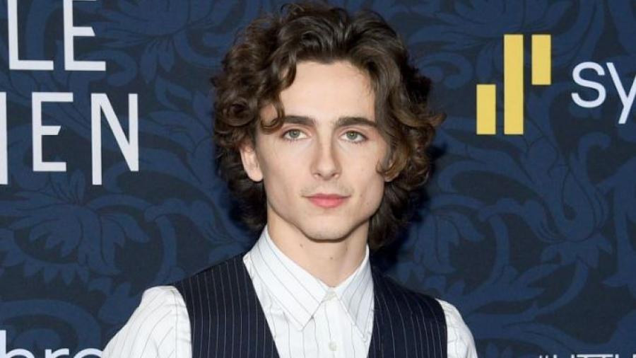 Interpretará  Timothée Chalamet  a "Willy Wonka" en un musical 