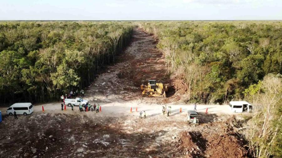 No nos van a detener: Responde AMLO tras amparo definitivo contra el Tramo 5 del Tren Maya 