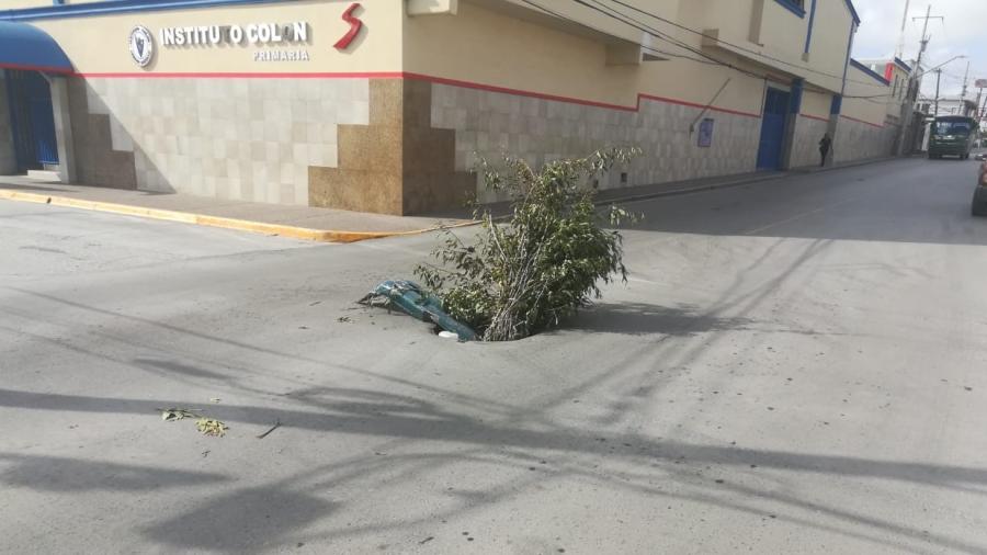 Reposición de tapa de alcantarilla en calle Canales