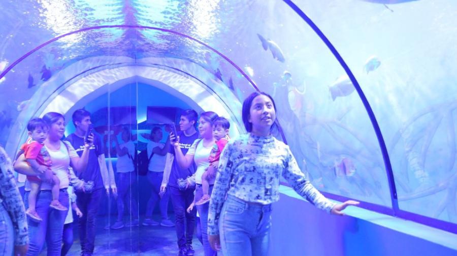 Aprovechan neolaredenses entrada gratuita en el zoológico