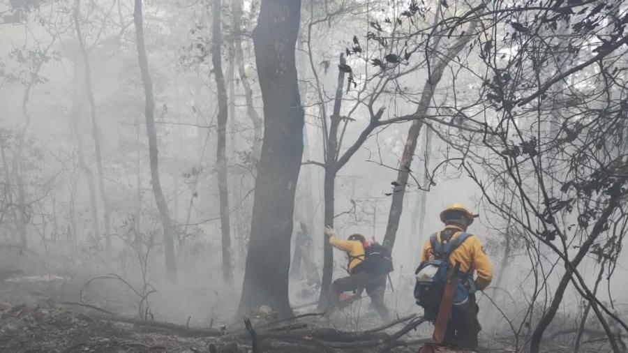 Unen esfuerzos autoridades y ciudadanos para combatir incendio forestal en Hidalgo, Tamaulipas