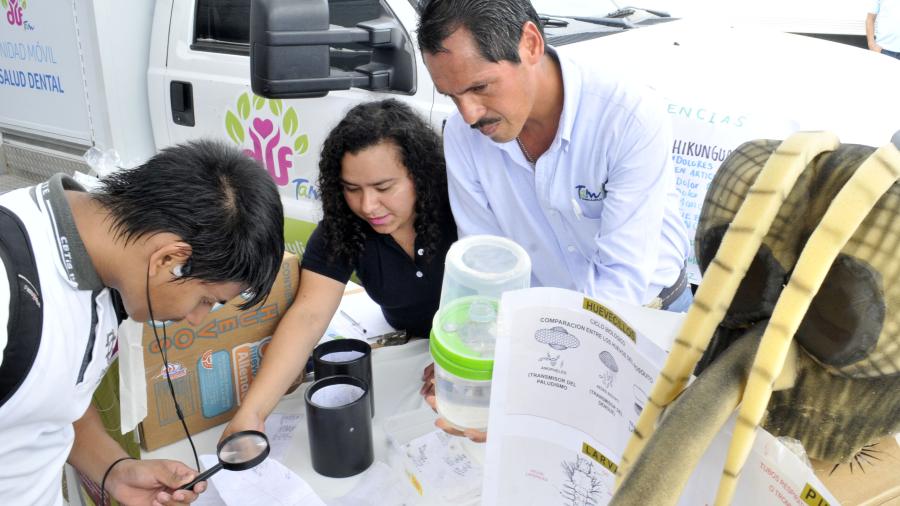 Disminuyen en Tamaulipa los casos de dengue