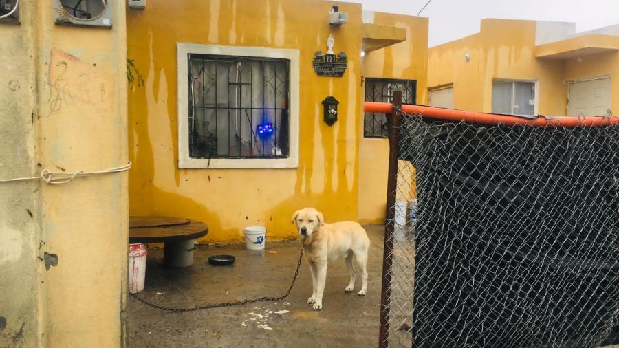 Personal de la Guardia Estatal rescatan a perro abandonado en Reynosa 