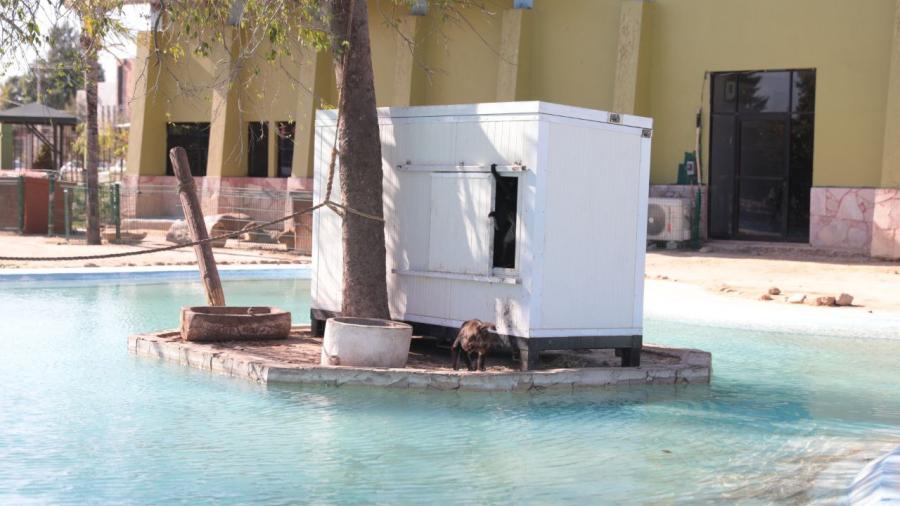 Resguardan en &aacute;reas  especiales a especies por fr&iacute;o en el Zool&oacute;gico de Nuevo Laredo