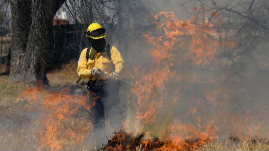 Viajarán a Canadá otros 102 brigadistas de México para combatir incendios