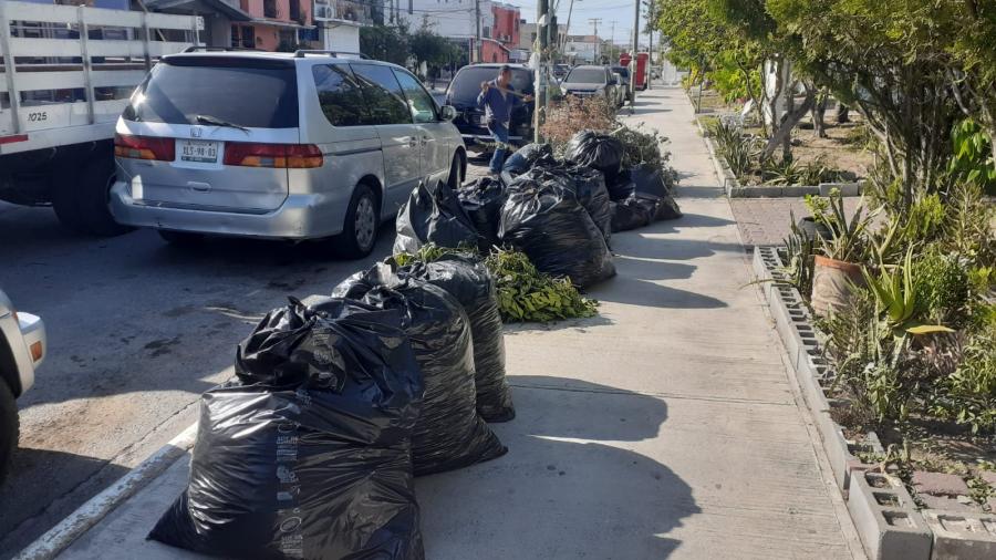 Atiende Carlos Peña solicitudes de limpieza y mejoramiento urbano