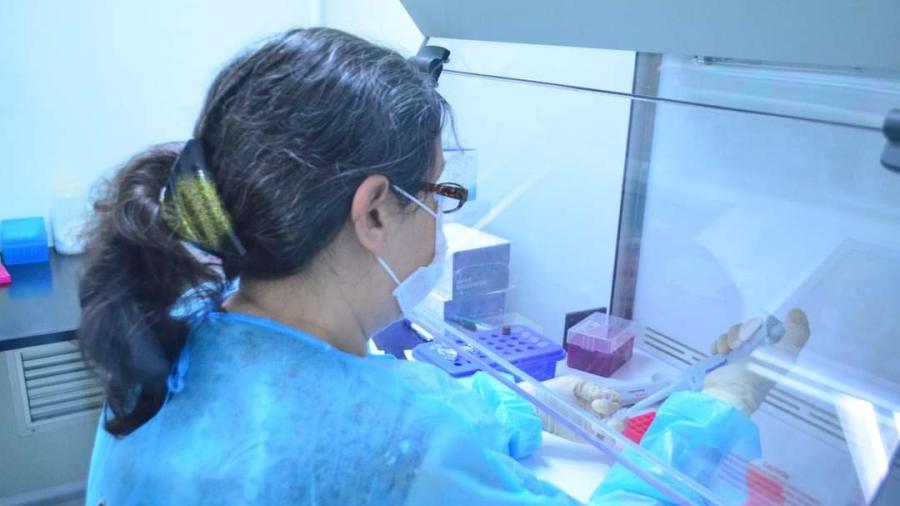 Cierra Tamaulipas jornada con 246 nuevos contagios de COVID-19, llama Salud a extremar medidas sanitarias
