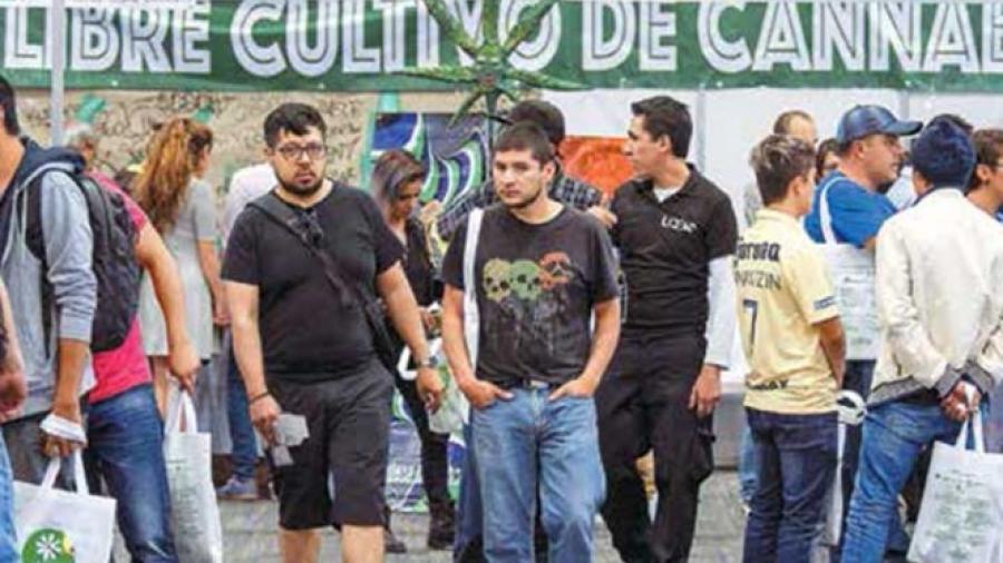 Diabetes y obesidad, podr&iacute;an ser tratados con cannabis