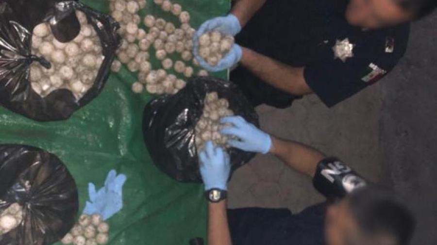 Guardia Nacional recupera más de 17 mil huevos de tortuga