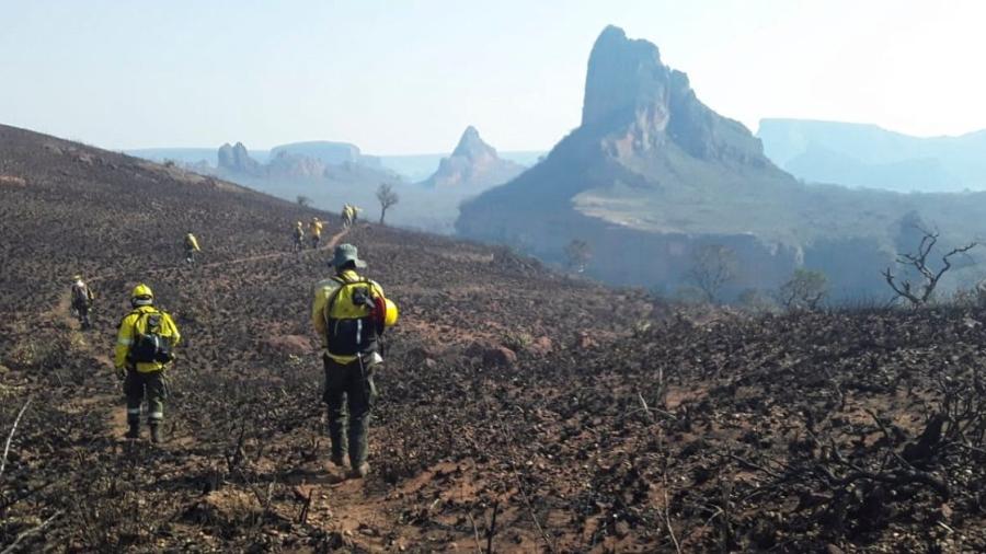 Bolivia decreta "pausa ecológica" por incendios en la Chiquitania