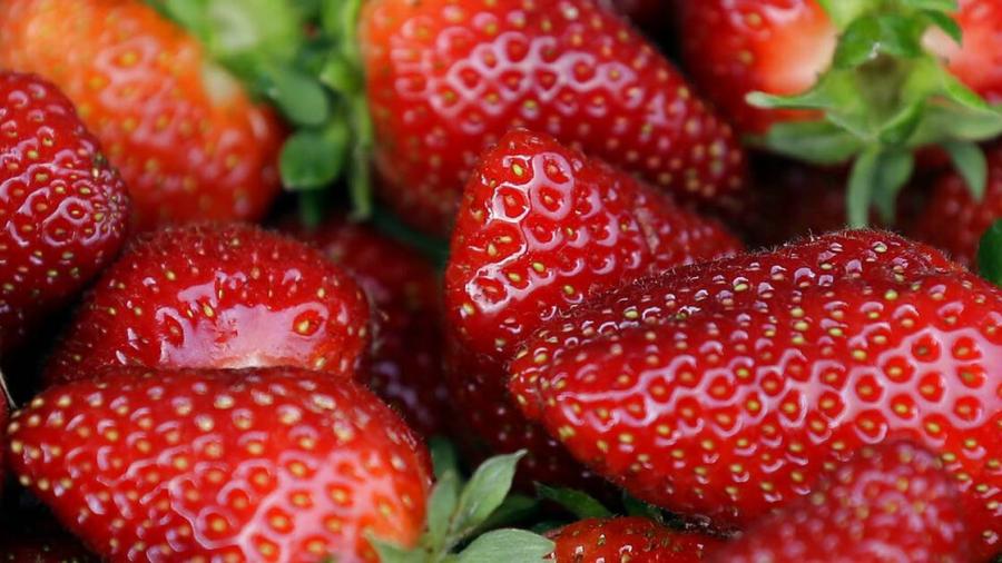 Alerta EU por caso de hepatitis A en fresas cultivadas en México