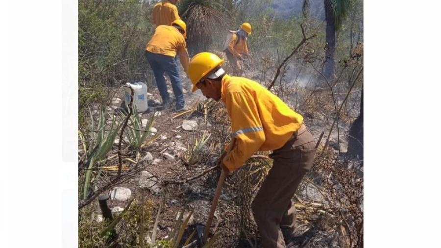Permanentes acciones de contención y extinción de incendios forestales en Tamaulipas