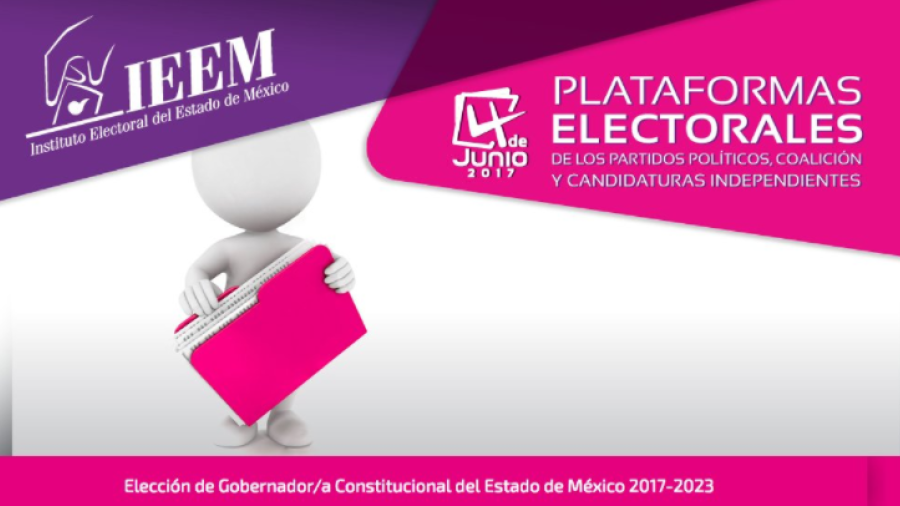 Publica IEEM Plataformas Electorales