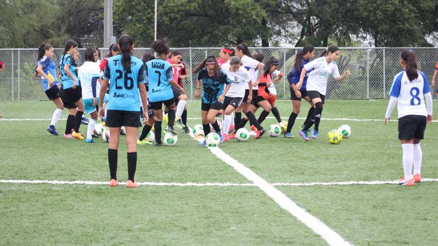 Finalizan visorías en Tamaulipas