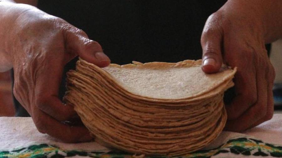 Mi principal preocupación es el precio de la tortilla: AMLO 