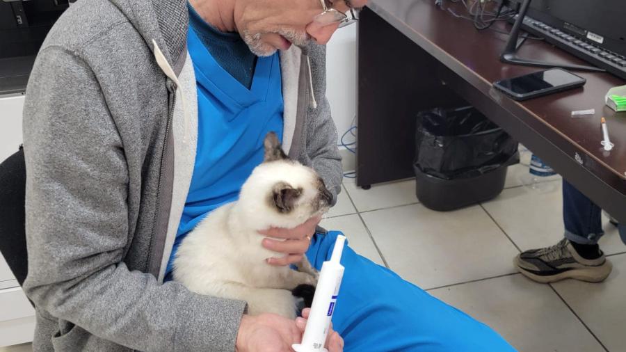 Refuerza dirección de Bienestar Animal atención a perros y gatos en situación de calle