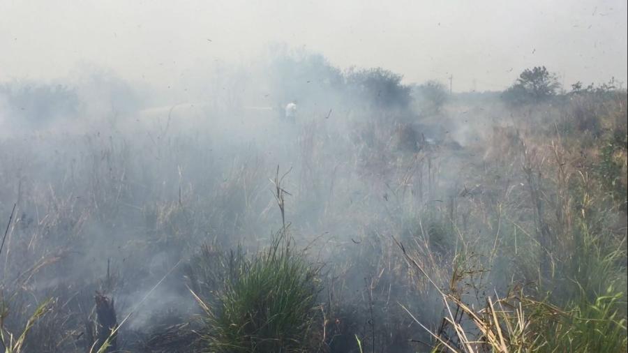 Intensa ola de calor incrementa incendios en solares baldíos