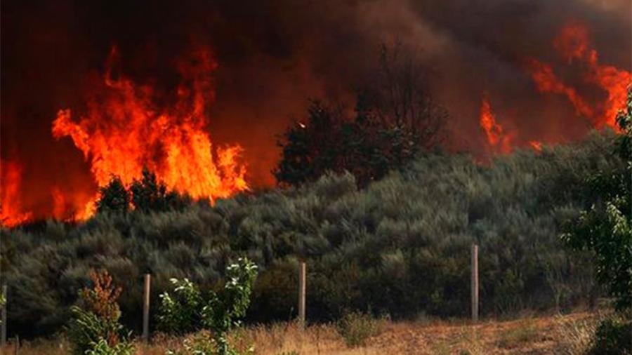 Incendio en California destruye más de mil hectáreas y diez casas