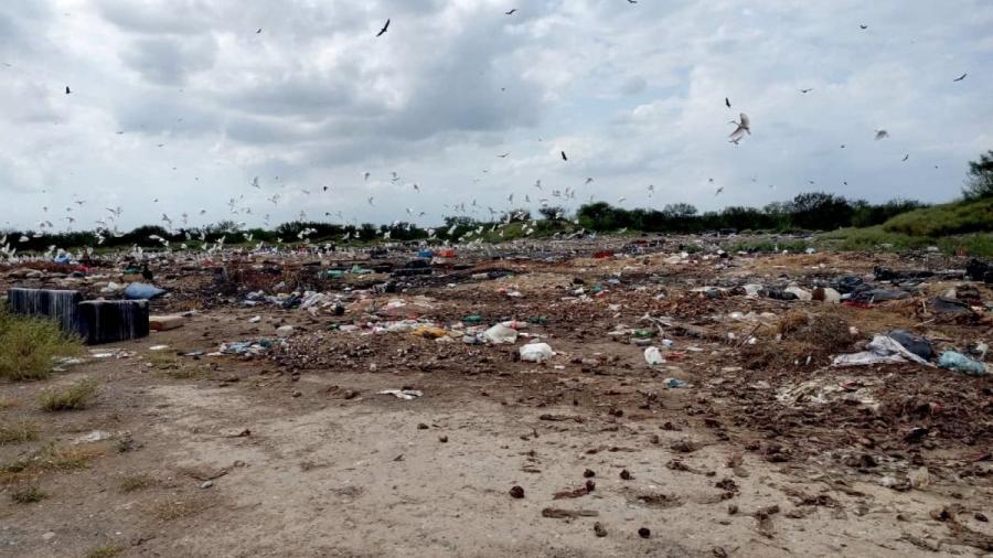 Detectó la PAUT riesgo ambiental en Camargo; limpian y reubican desechos