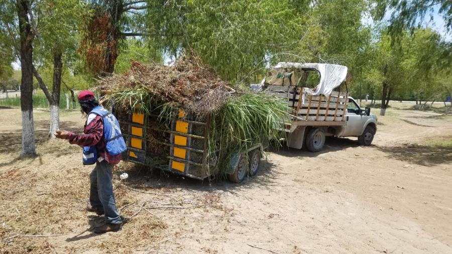 Limpian cuadrillas municipales casi 1 un millón de metros cuadrados de parques y jardines