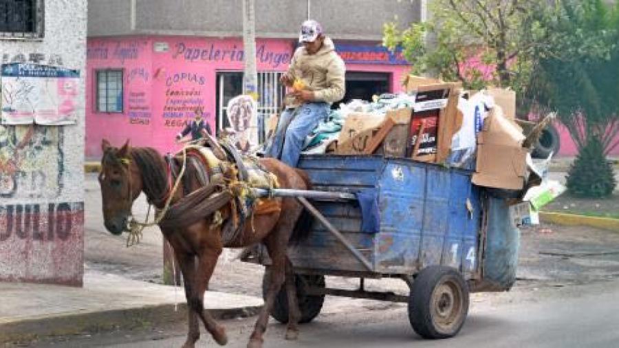 Se rehúsan carretoneros a dejar de lado a los caballos